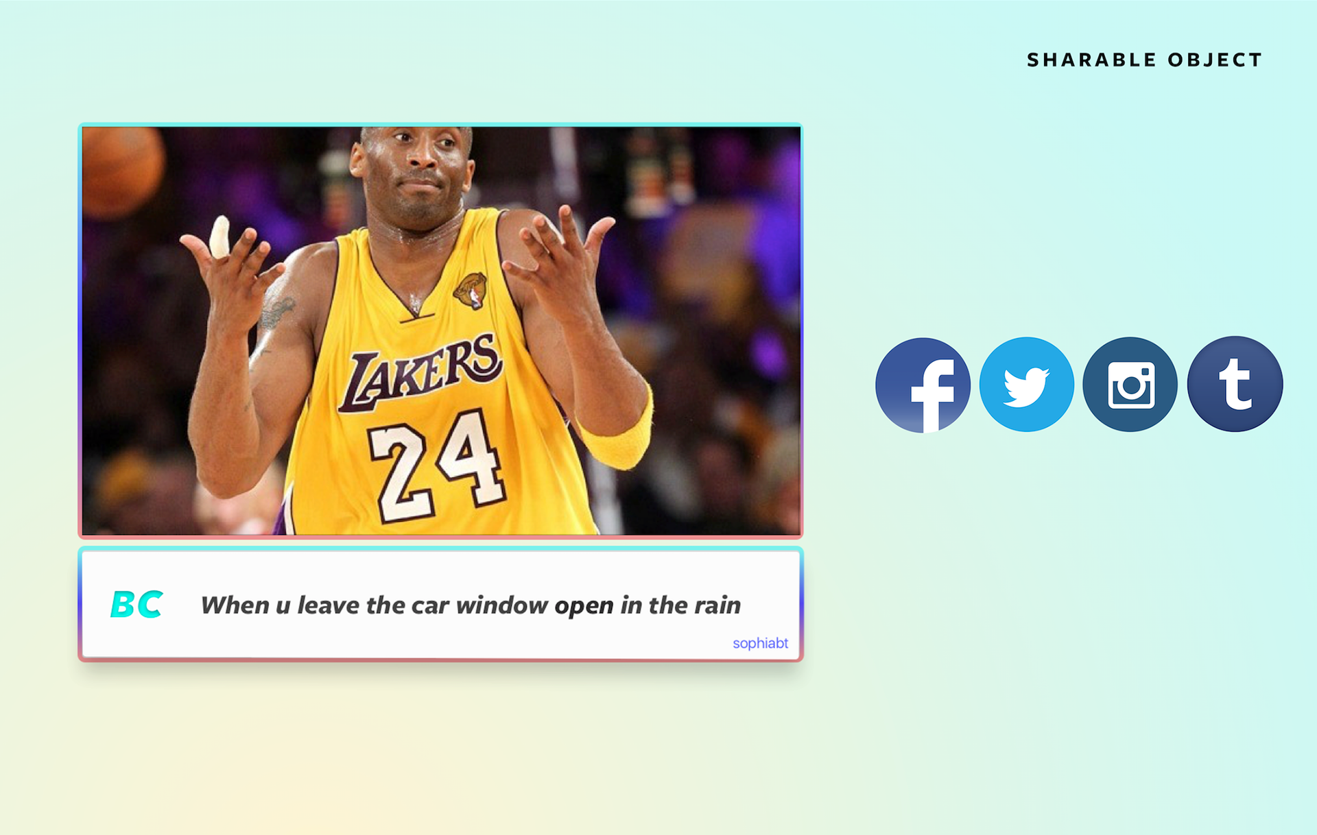 BuzzCap shareable caption object and social destinations