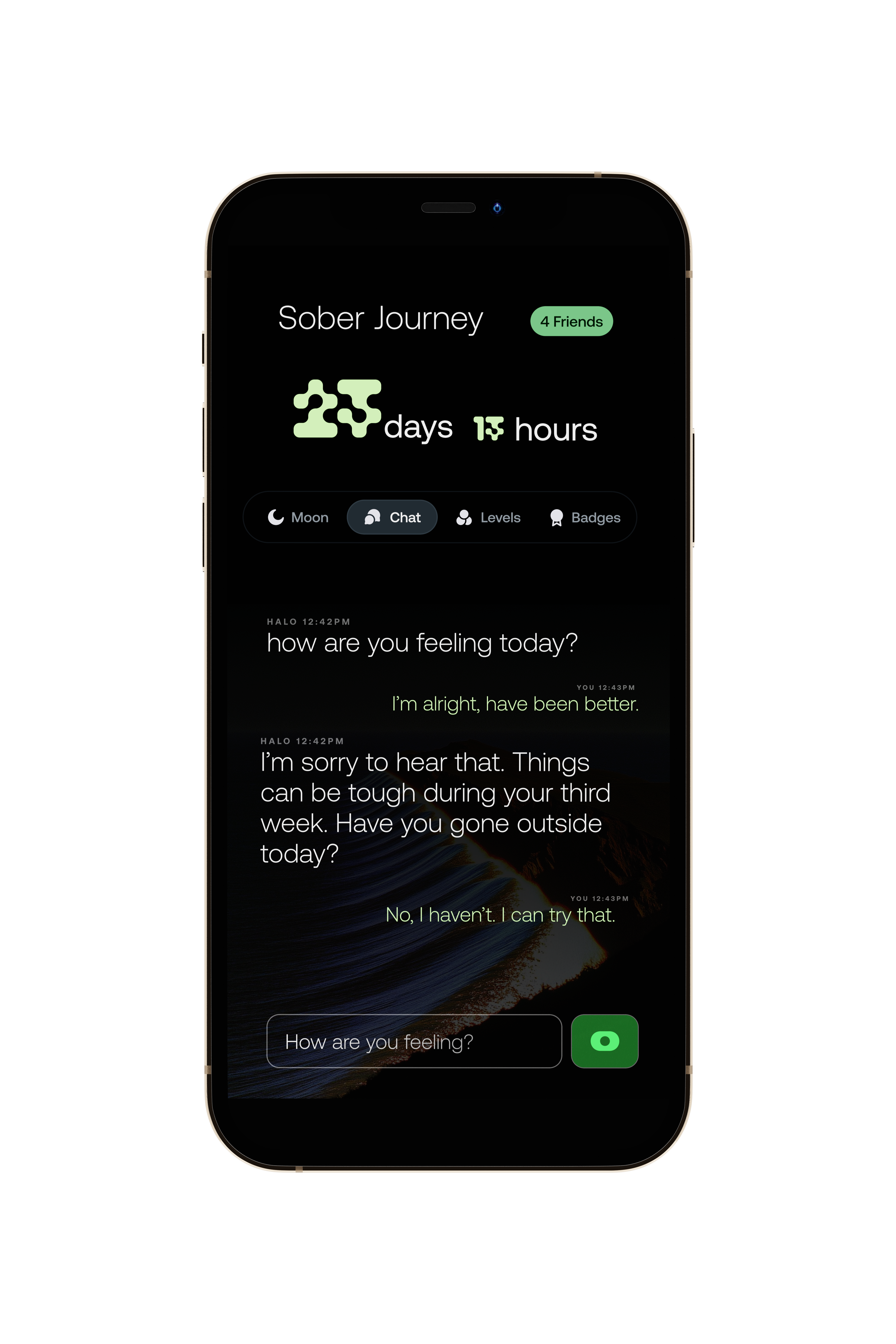 Habit Halo contextual group support conversation