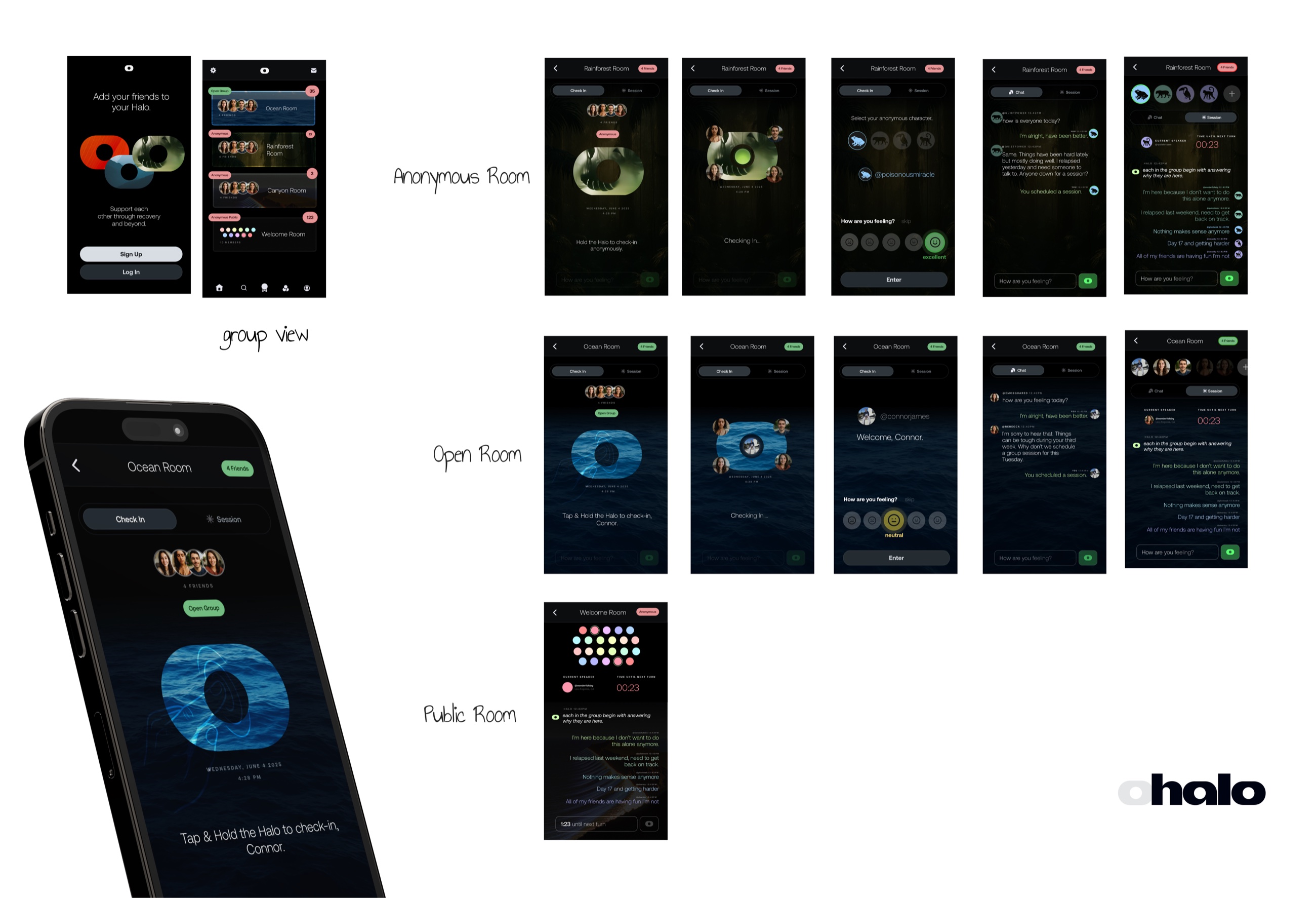 Habit Halo MVP - anonymous, open, and public rooms with group view