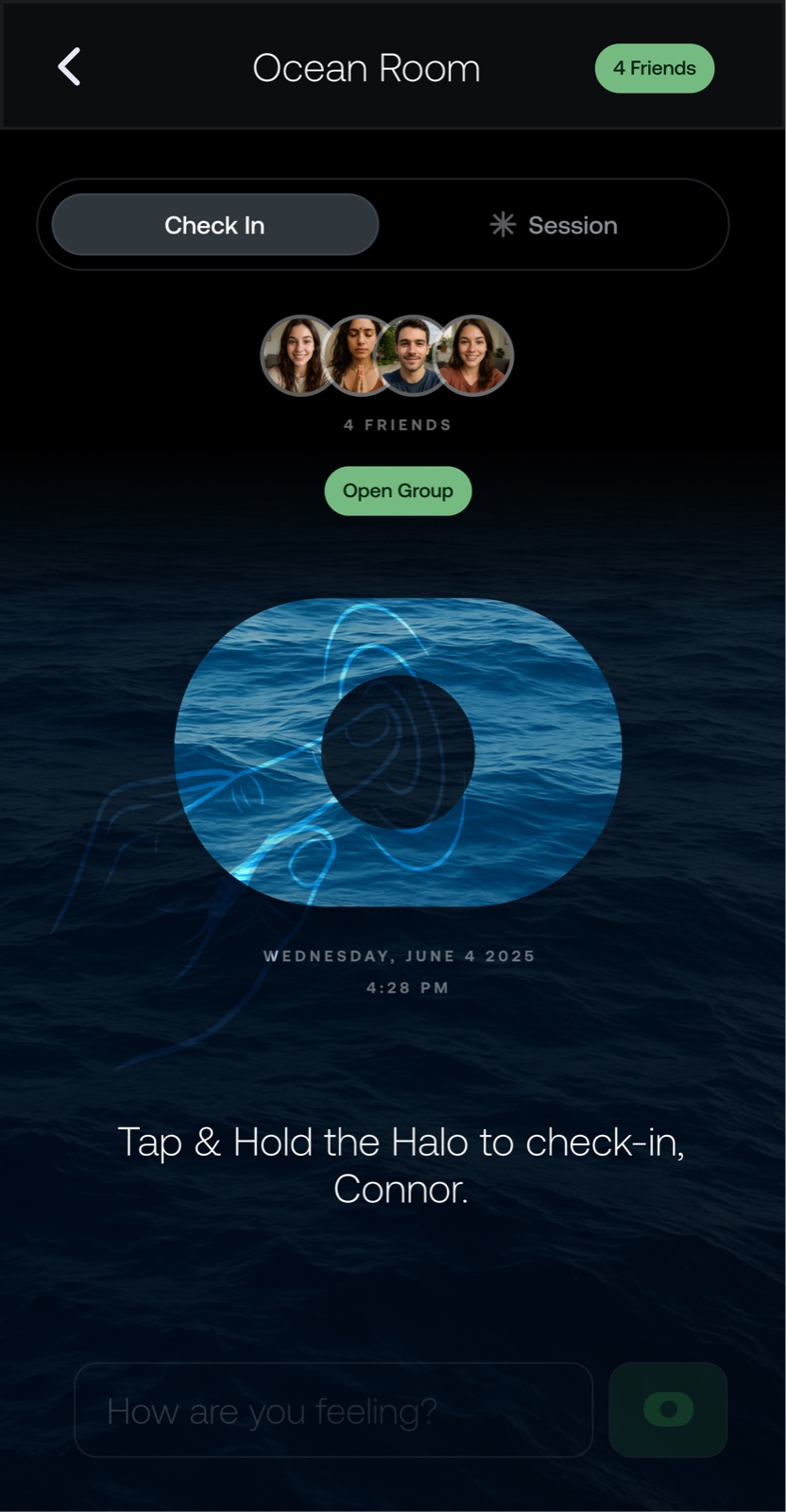Habit Halo Ocean Room check-in