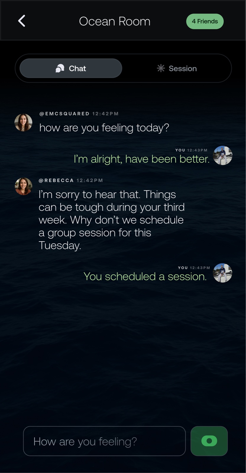Habit Halo group support chat