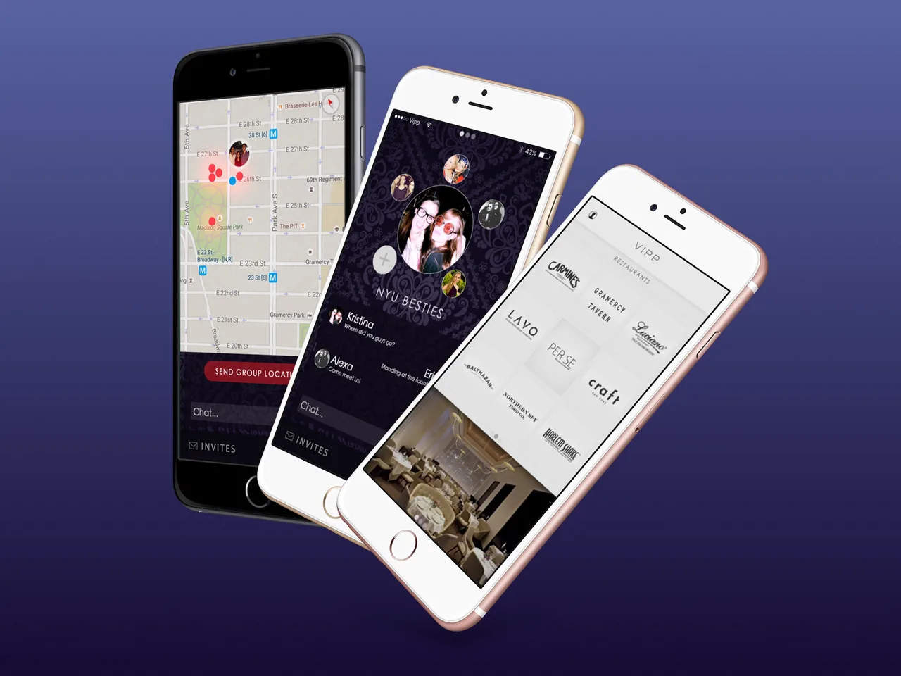 VIPP nightlife product overview across groups, venues, and transportation